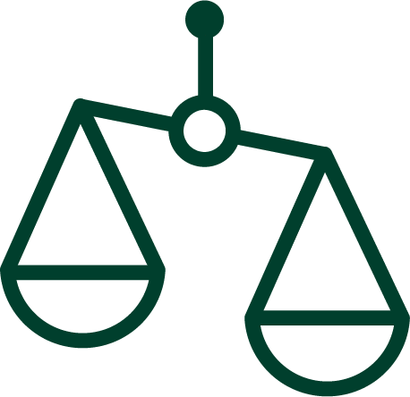 icon showing balance
