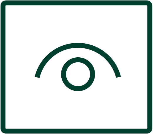 eye icon