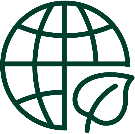 World Icon